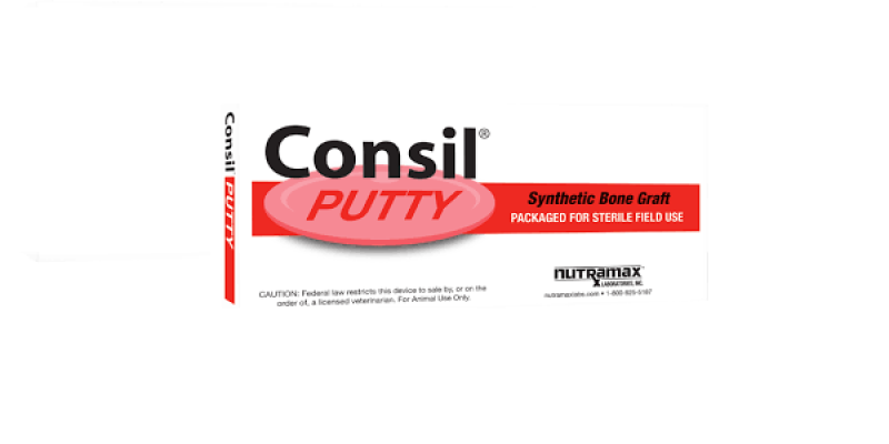 Consil Putty