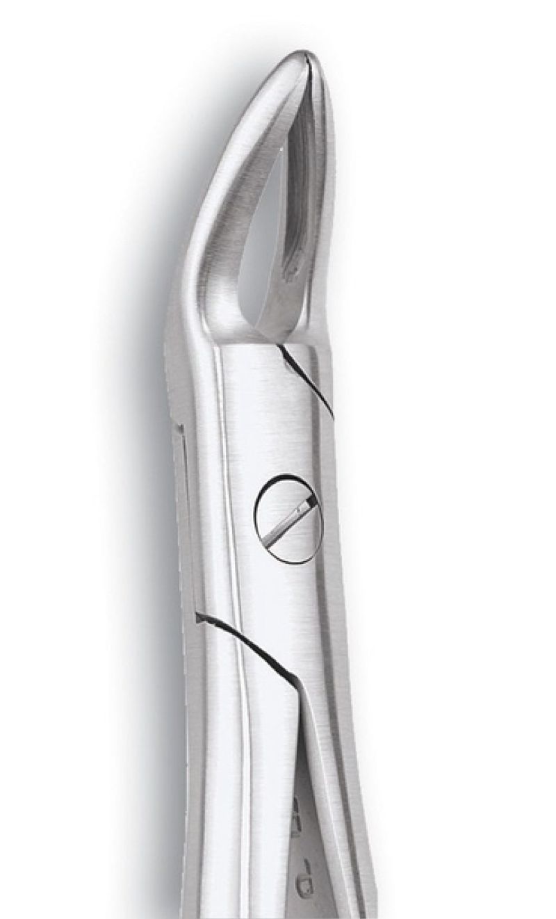 Extraction Forceps 76 N3