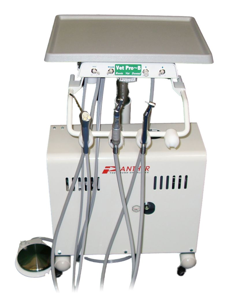 Vet Pro B compressed air dental unit photo