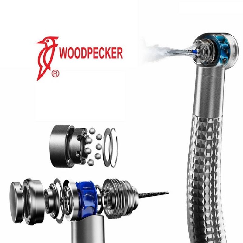 Woodpecker hp33 push turbine crop
