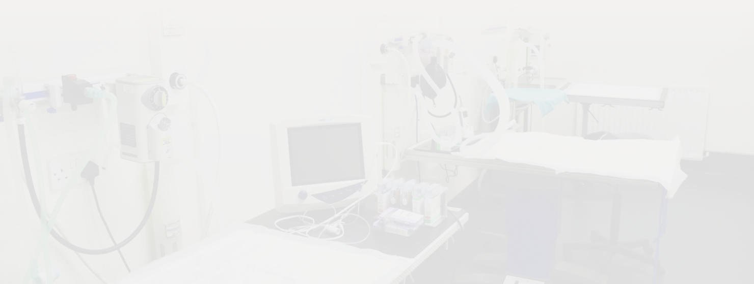 Page banner graphic