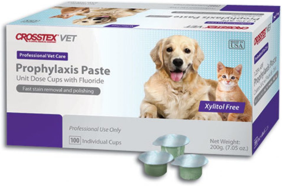 prophy paste for dogs